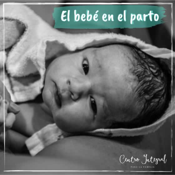 Les confieso que cada vez que estudio la fisiolog&iacute;a del nacimiento, quedo m&aacute;s maravillada de lo poderoso que es el cuerpo de la mujer y de la sabidur&iacute;a de la cr&iacute;a para poder nacer.